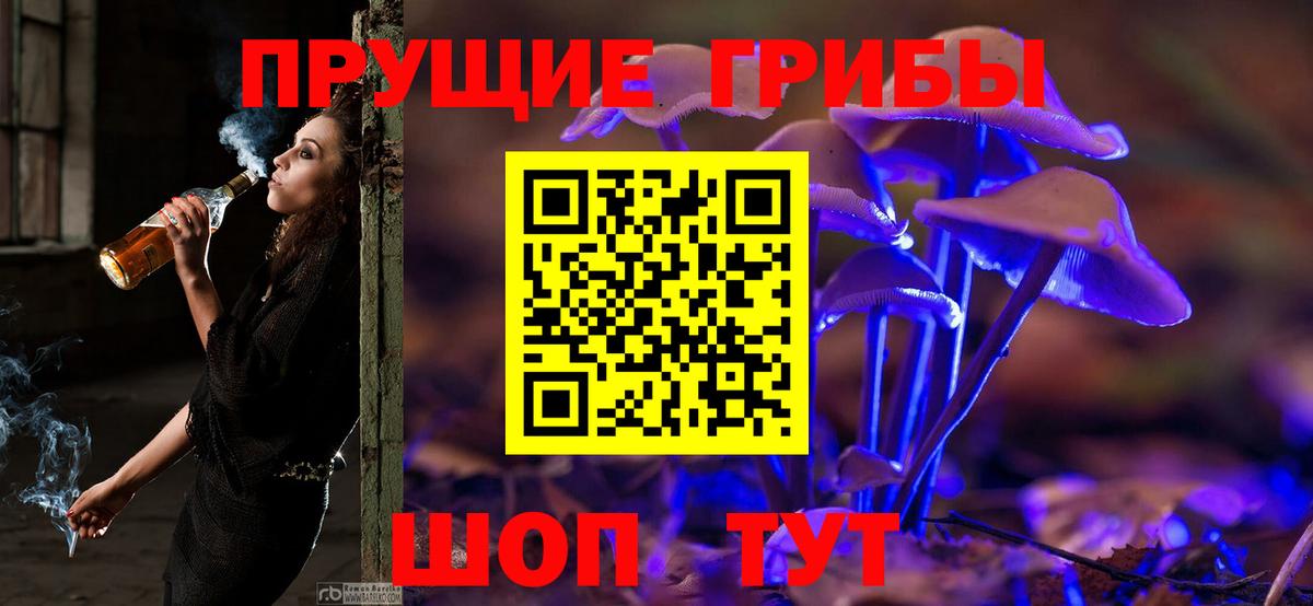 Псилоцибиновые грибы прущие грибы Белебей