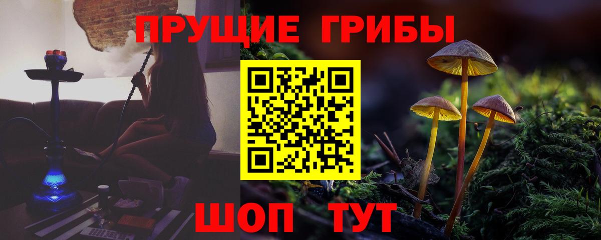 где продают наркотики  Вход с VPN  Белебей  Галлюциногенные грибы прущие грибы  Галлюциногенные грибы мухоморы 